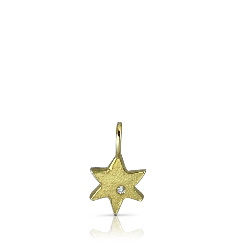 Star of David necklace in 18K yellow gold with a diamond and an oxidized sterling silver or 14K yellow gold cable chain by Ayesha Mayadas